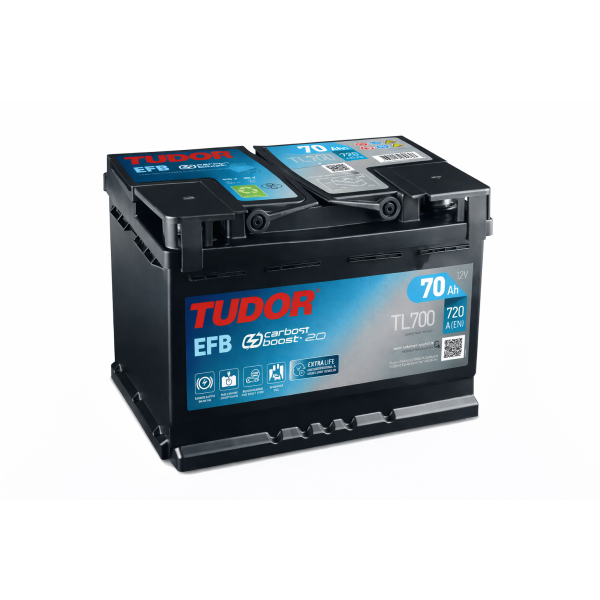 Tudor EFB